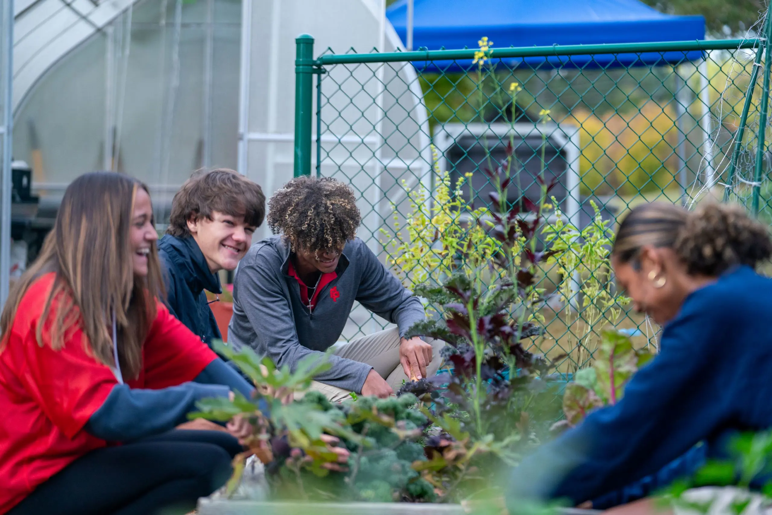 Students gardening